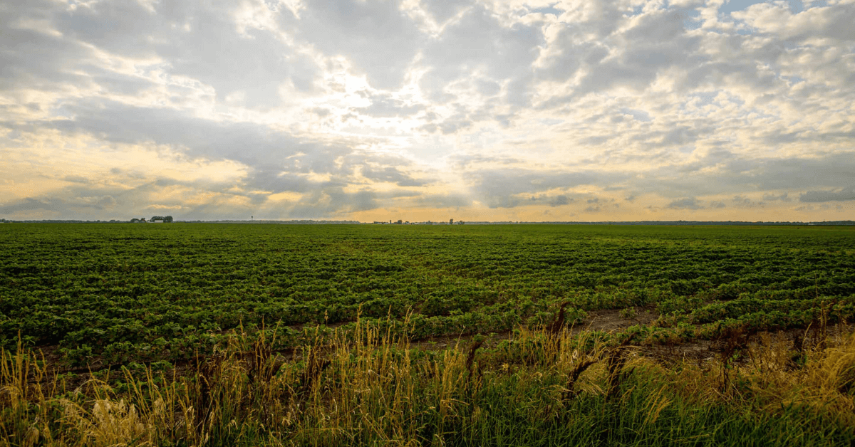 Featured Image for Ag Services
